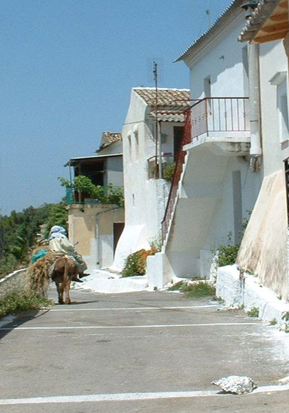 Pelekas Corfu - donkeys